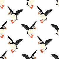 Isolated wildlife nature seamless pattern with black and white colored puffin bird ornament. White background. vector