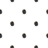 Seamless pattern Turkey on white background. Texture of farm bird for any purpose. vector