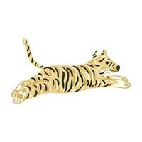 Tiger jump isolated on white background. Cute character from safari in striped. vector