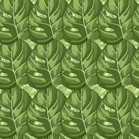 Tropical seamless pattern on light leaf background. Abstract texture decoration with leaf monstera real green color. vector