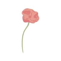 Poppy with stem isolated on white background. Sketch spring flower pink. Beautiful summer plant in doodle style. vector
