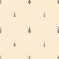 Seamless pattern colony ants on light beige background. Vector insects template in flat style for any purpose. Modern animals texture.