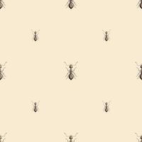 hormigas de colonia de patrones sin fisuras sobre fondo beige claro. plantilla de insectos vectoriales en estilo plano para cualquier propósito. textura de animales modernos. vector