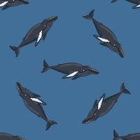 ballena jorobada de patrones sin fisuras sobre fondo azul. plantilla de personaje de dibujos animados del océano para niños. vector