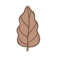 Fall oak leaf isolated on white background. Decorative design in doodle style for any purpose. vector