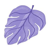 Decorative leaf monstera on white background. Abstract sketch leaf purple color. vector