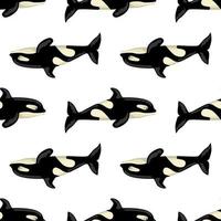 Seamless pattern Orca on white background. Template of cartoon character of ocean for children. vector
