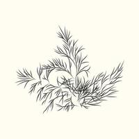 Dill herb branch ink sketch isolated. Monochrome food ingredient. vector