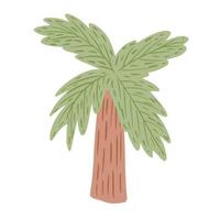 Palm tree isolated on white background. Abstract tropical plant with green foliage and stout brown tree trunk. vector