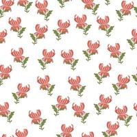 patrón de garabato sin costuras con estampado de flores de crisantemo rosa. vector