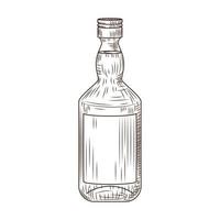 Bottle isolated on white background. Vintage sketch brown outline close up. vector