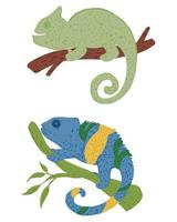 Set chameleons on twigs isolated on white background. Hand drawn cute wildlife cartoon character green and multicolor coloring. vector