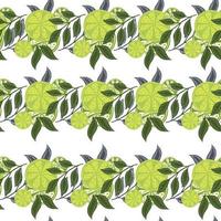 Isolated seamless pattern with green doodle lime slices citrus fruit ornament. White background. Simple style. vector
