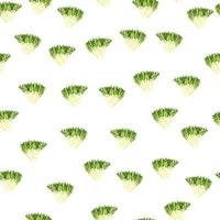 Seamless pattern frisee salad on white background. Simple ornament with lettuce. vector