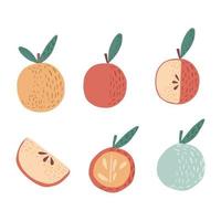 Set apples on white background. Apple whole, red, yellow, green, with twig and leaves, slice, half hand drawn in doodle style. vector