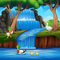 Cartoon many ducks playing on the waterfall vector