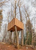 casa construida en un árbol foto