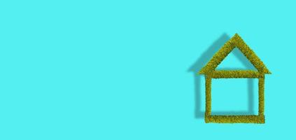 Banner with mossed and lichened green wet forest tree symbolic house isolated at turquoise background with copy space and shadow. photo