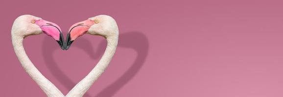 Banner with two rosy flamingos forming a heart shape with their heads and necks isolated with shadows at gradient rosy background with copy space. Love, dating and glamour concept. photo