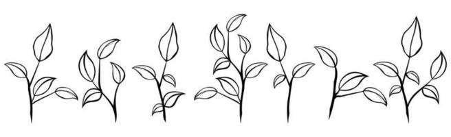 Set of Leaves Vector. Tree leaves drawning vector