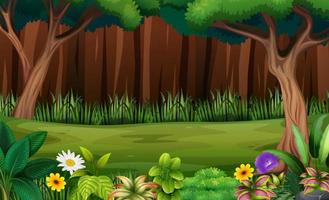 Flowers and trees in the forest background vector