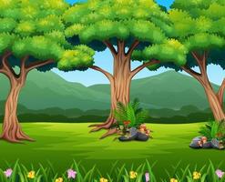 Panoramic green forest landscape with mountain background vector