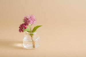 miniature pink wildflower in a glass bottle on a beige background. Minimalism concept, greeting card with copy space photo