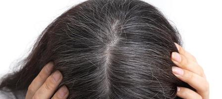 Young woman shows gray hair on her head on a white background. Close up gray hair texture photo