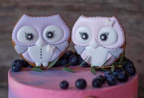 beautiful homemade cake with pink with blue cream, decorated with owl figurines photo