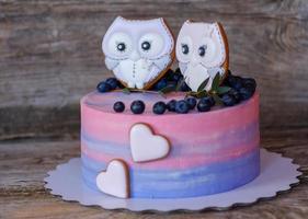 beautiful homemade cake with pink with blue cream, decorated with owl figurines photo