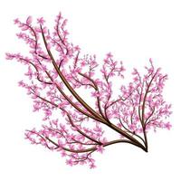 Vector image isolated on white background. Branch in pink flowers. Sakura. Concept. EPS 10