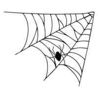 Spider web isolated on white background. Spooky cobwebs with spiders. vector