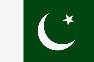 icono de vector de bandera paquistaní. la bandera de pakistán