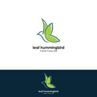 hummingbird line logo icon design vector