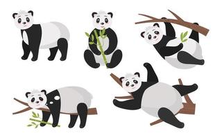 pandas, oso de bambú un conjunto de imágenes lindas, en diferentes poses. en un árbol, tumbado, de pie, durmiendo. ilustración vectorial para decoración, scrapbooking, impresión en tela o papel. vector