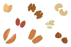Nuts are different types of set in a simple style. Vector illustration isolated on white background for website design of products, applications, printing