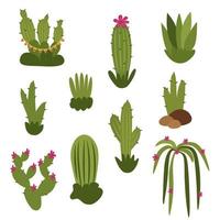 Cacti, a cute set of different types. Vector illustration isolated on a white background.