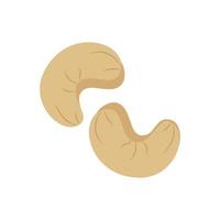 Indian cashew nut, natural color kernel. Vector illustration, isolated on a white background, for the design of the website of products, applications, printing