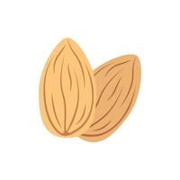 Almond nut kernel beige natural color. Vector illustration, isolated on a white background, for the design of the website of products, applications, printing