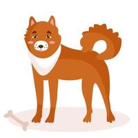 A dog of the Laika breed, red in color. Next to it is a delicacy, a bone. Vector illustration isolated.