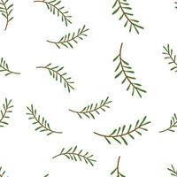 The pattern is seamless with spruce branches, natural botanical on a white background. Vector illustration for printing on paper, fabric, packaging, design, decor, scrapbooking