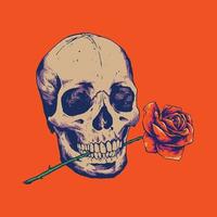 skull bitting rose flower vector