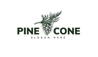 pine cone logo template design vector
