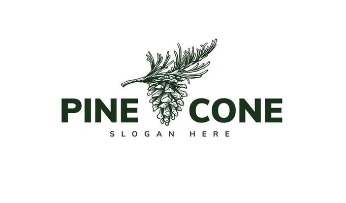 pine cone logo template design