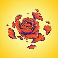 rose split illustration vector