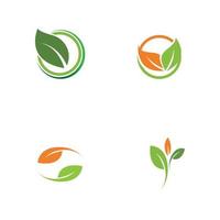 set of leaf logo vector