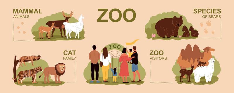 Zoo Infographic Set