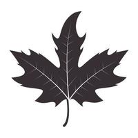 vintage simple maple leaf logo symbol vector icon illustration graphic design