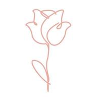 continuous lines pink rose flower logo symbol vector icon illustration graphic design