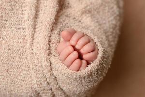 Soft newborn baby feet against a brown blanket photo